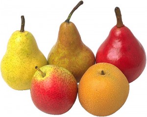 assortment of pears