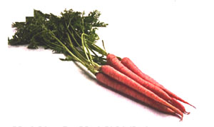 carrots