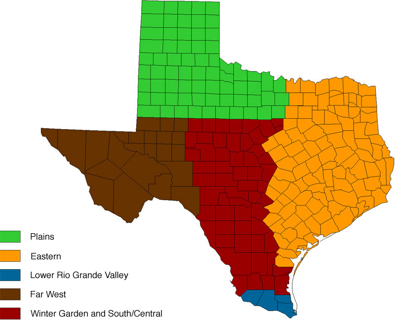 Appendix 1. Descriptions of geographic regions in Texas Vegetable