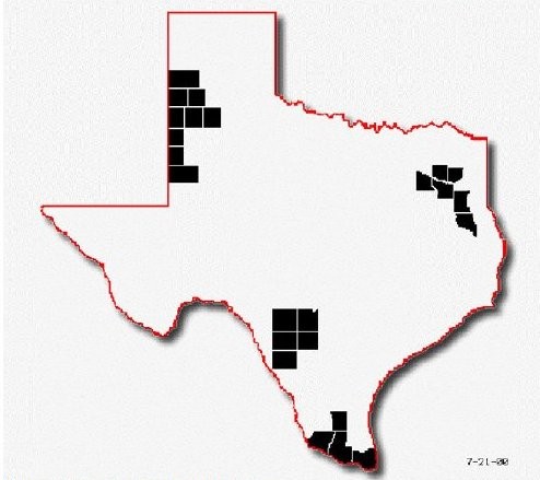 figure I-3 shows the major vegetable production regions in Texas: North East Texas, The Panhandle, Rio Grande Valley