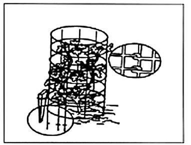 figure IV-8 shows a cage used to trellis a tomato