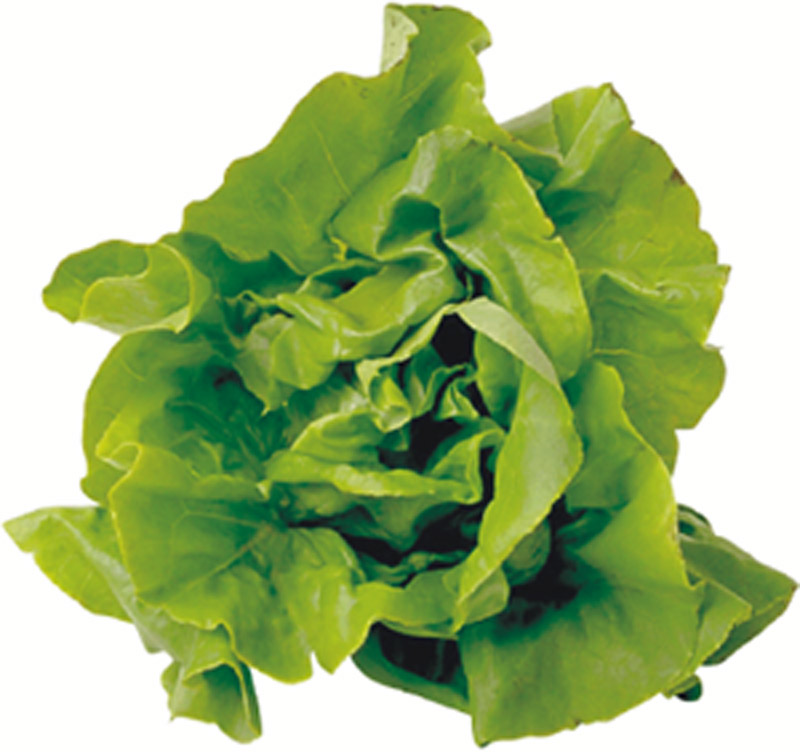 Click Here for leafy greens