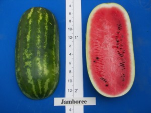 06Rogers-Syngenta Jamboree