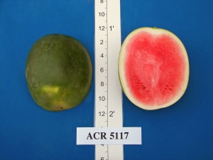 ACR 5117