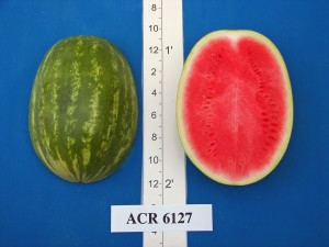 ACR 6127
