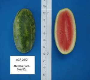 acr_2572