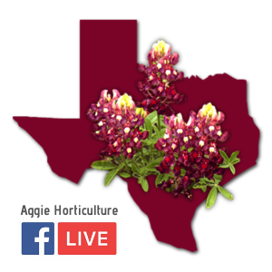 Aggie Horticulture Facebook Live
