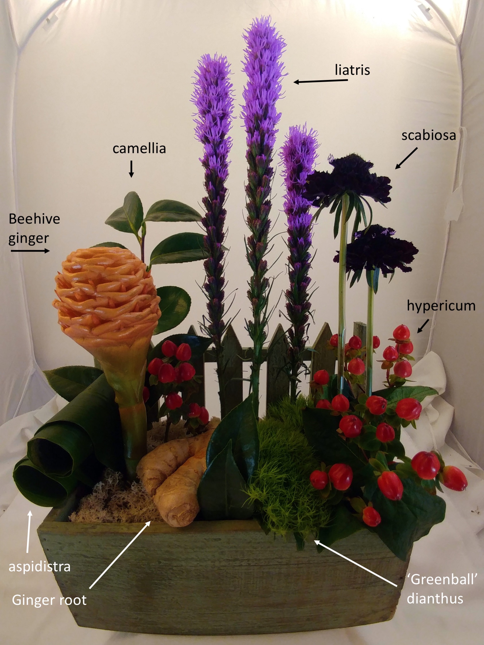 Certification Principles of Floral Design Certification Benz School