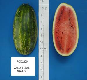 acx_2800