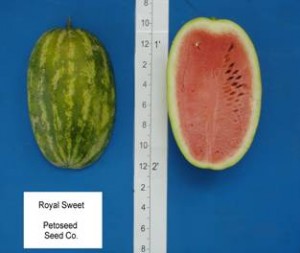 royal_sweet