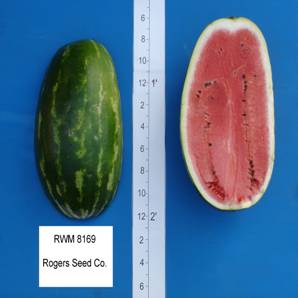 rwm_8169