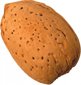 almond