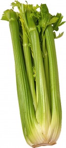 celery stalk