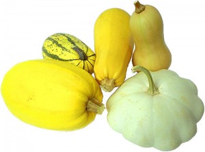 assortment of squash varieties