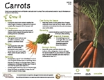 Carrots thumbnail