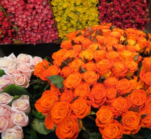 Roses at Korean flower market