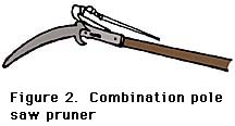 figure 2, combination pole saw pruner