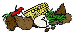drawing of materials used in composting such as egg shells, apple cores and leaves