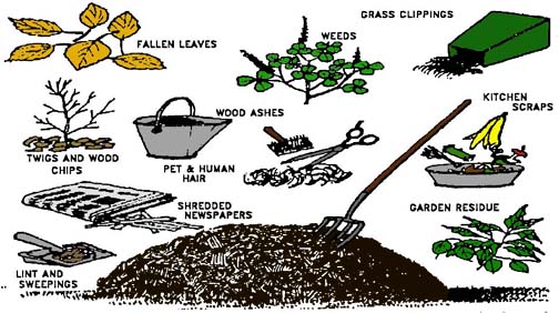 drawing of various organic materials used in composting, such as leaves, grass clippings and weeds