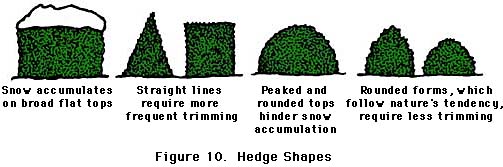 figure 10, hedge shapes