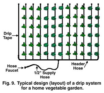Fig 9. Typical design (layout) of a drip system for a home vegetable garden.