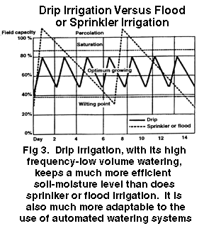 Fig 3. Drip irrigation, with its high frequency-low volume watering, keeps a much more efficient soil-moisture level than does sprinkler or flood irrigation. It is also much more adaptable to the use of automated watering systems.