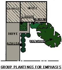 drawing showing group plantings used for emphasis