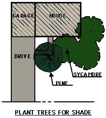 drawing showing trees planted for shade
