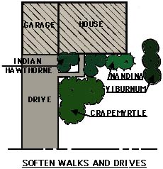 drawing showing plantings used to soften walks and drives
