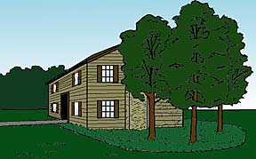 drawing showing a group of trees planted near a house