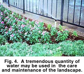 Fig 4. A tremendous quantity of water may be used in the care and maintenance of the landscape.